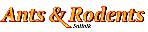 Suffolk Ant Exterminator & Rodent Control Company Logo